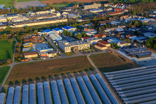 Hope Media Europe eV in the district Sandwiese in Alsbach-Hähnlein in the state Hesse, Germany