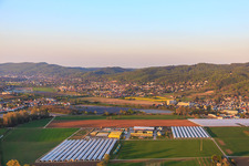 Aerial view of Asparagus & Fruit Farm Wendel in Zwingenberg in the state Hesse, Germany