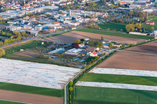 Glass roof surfaces in the greenhouse rows for Floriculture in the district Auerbach in Bensheim in the state Hesse, Germany