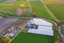 Horticultural business at the Wattenheimer Brück in Weschnnitzbogen in Lorsch in the state Hesse, Germany