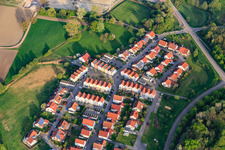 At the riding school in Wörth am Rhein in the state Rhineland-Palatinate, Germany