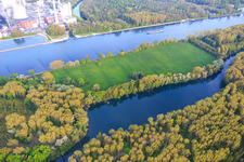 Aerial view of Goldgrund Island Nature Reserve Nauaus between the Rhine and Hagenbacher Altrhein in the district Maximiliansau in Wörth am Rhein in the state Rhineland-Palatinate, Germany