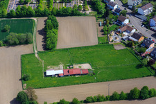Horse paddock in Hagenbach in the state Rhineland-Palatinate, Germany