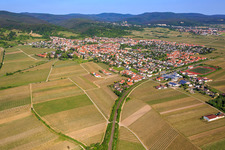 Overview of the town from the southeast in Wachenheim an der Weinstraße in the state Rhineland-Palatinate, Germany