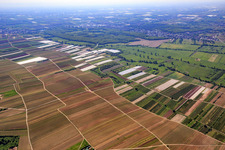 Vegetable fields and meadows in the Isenach Valley in Weisenheim am Sand in the state Rhineland-Palatinate, Germany