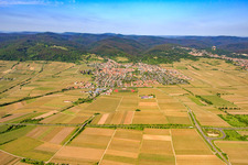 City view from the east in Wachenheim an der Weinstraße in the state Rhineland-Palatinate, Germany