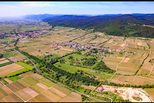 Village view with Forster Bruch from the northeast beyond the B271 in Forst an der Weinstraße in the state Rhineland-Palatinate, Germany