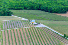 Vineyard Chapel in Bergtheim in the state Bavaria, Germany