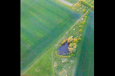 Aerial view of Biotope in Schwebheim in the state Bavaria, Germany