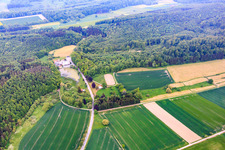 Hünnicher Mühle Kyrill Seebaum in the district Meiborssen in Vahlbruch in the state Lower Saxony, Germany