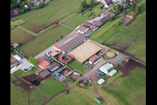 Gestuet Dobel in Dobel in the state Baden-Wurttemberg