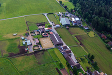 Stud farm Dobel in Dobel in the state Baden-Wuerttemberg, Germany from a drone