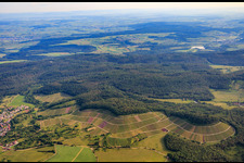 Aerial view of Vineyard landscape "Wilder Fritz" on the Diefenbacher Mettenberg and almond blossom path Diefenbach in the district Diefenbach in Sternenfels in the state Baden-Wuerttemberg, Germany
