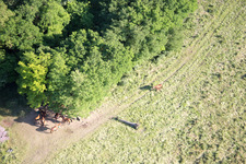 Neewiller-près-Lauterbourg in the state Bas-Rhin, France viewn from the air