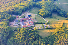 Horse boarding at the Liebfrauenberg Monastery in Bad Bergzabern in the state Rhineland-Palatinate, Germany seen from above