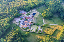 Bird's eye view of Horse boarding at the Liebfrauenberg Monastery in Bad Bergzabern in the state Rhineland-Palatinate, Germany