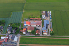 Matthias Knecht Agricultural Business in Herxheim bei Landau in the state Rhineland-Palatinate, Germany