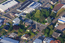 At the small forest in Herxheim bei Landau in the state Rhineland-Palatinate, Germany