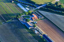Zapf fresh vegetables in Kandel in the state Rhineland-Palatinate, Germany