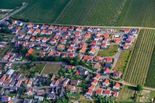 New development area Fischlinger Straße in Essingen in the state Rhineland-Palatinate, Germany