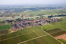 District Duttweiler in Neustadt an der Weinstraße in the state Rhineland-Palatinate, Germany