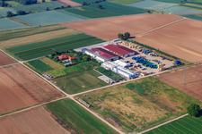 Vegetable cultivation - Dieter Stubenbordt in Zeiskam in the state Rhineland-Palatinate, Germany