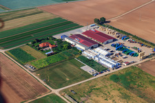 Aerial view of Vegetable cultivation - Dieter Stubenbordt in Zeiskam in the state Rhineland-Palatinate, Germany