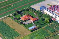 Aerial photograpy of Vegetable cultivation - Dieter Stubenbordt in Zeiskam in the state Rhineland-Palatinate, Germany