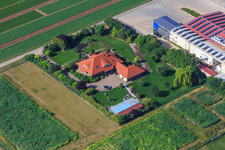 Oblique view of Vegetable cultivation - Dieter Stubenbordt in Zeiskam in the state Rhineland-Palatinate, Germany