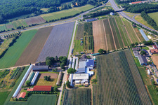 Aerial photograpy of Zapf Farm Market in Kandel in the state Rhineland-Palatinate, Germany