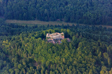 Aerial view of Meistersel Castle Ruins (scaffolded) in Ramberg in the state Rhineland-Palatinate, Germany