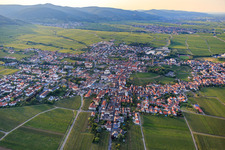 City view between vineyards from the south in Edenkoben in the state Rhineland-Palatinate, Germany