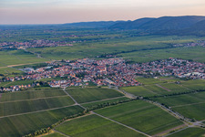 From the north in Maikammer in the state Rhineland-Palatinate, Germany