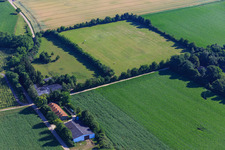 Paddock of Trakehner-Friedrich in Minfeld in the state Rhineland-Palatinate, Germany from the plane