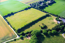 Drone recording of Paddock of Trakehner-Friedrich in Minfeld in the state Rhineland-Palatinate, Germany