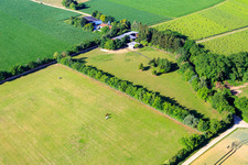 Aerial view of Paddock of Trakehner-Friedrich in Minfeld in the state Rhineland-Palatinate, Germany