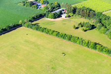 Oblique view of Paddock of Trakehner-Friedrich in Minfeld in the state Rhineland-Palatinate, Germany