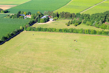 Paddock of Trakehner-Friedrich in Minfeld in the state Rhineland-Palatinate, Germany seen from above