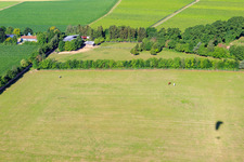 Paddock of Trakehner-Friedrich in Minfeld in the state Rhineland-Palatinate, Germany from the plane