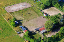 Horse paddock at Dörniggraben in Minfeld in the state Rhineland-Palatinate, Germany