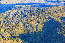 Hiking Lodge Dicke Eiche - Palatinate Forest Association Hauenstein 1913 eV in Hauenstein in the state Rhineland-Palatinate, Germany
