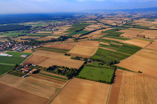 Drone recording of Paddock of Trakehner-Friedrich in Minfeld in the state Rhineland-Palatinate, Germany