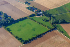 Paddock of Trakehner-Friedrich in Minfeld in the state Rhineland-Palatinate, Germany from a drone