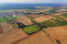 Paddock of Trakehner-Friedrich in Minfeld in the state Rhineland-Palatinate, Germany seen from a drone