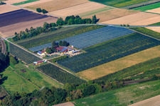 Aerial view of Asparagus and Gensheimer fruit farm in the Lindenhof in Steinweiler in the state Rhineland-Palatinate, Germany