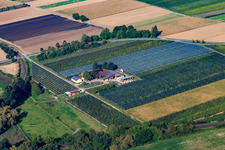 Aerial photograpy of Asparagus and Gensheimer fruit farm in the Lindenhof in Steinweiler in the state Rhineland-Palatinate, Germany