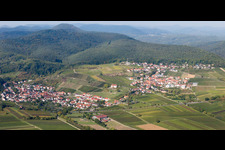 Vineyards and forest in the district Gleiszellen in Gleiszellen-Gleishorbach in the state Rhineland-Palatinate, Germany
