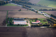 Egg farm in Erlenbach bei Kandel in the state Rhineland-Palatinate, Germany