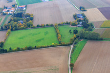 Oblique view of Paddock of Trakehner-Friedrich in Minfeld in the state Rhineland-Palatinate, Germany
