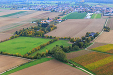Paddock of Trakehner-Friedrich in Minfeld in the state Rhineland-Palatinate, Germany out of the air
